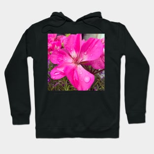 Floral Dew Hoodie